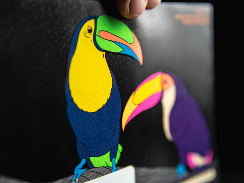 Two colorful toucans on a black envelope
