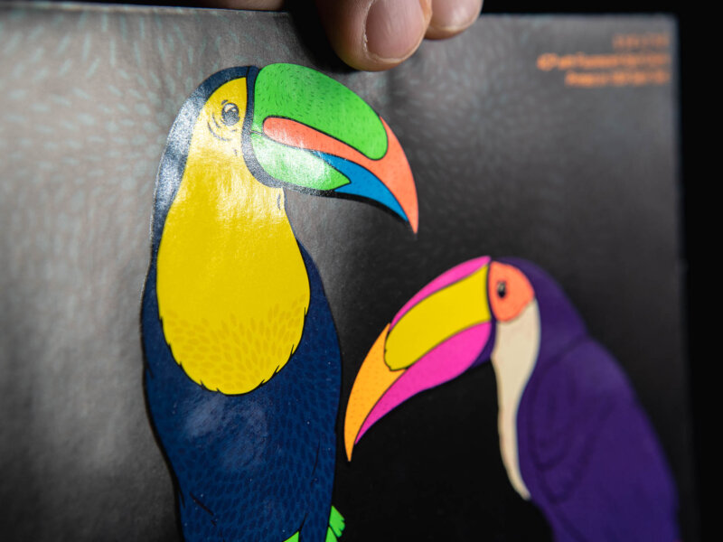 Two colorful toucans on a black envelope