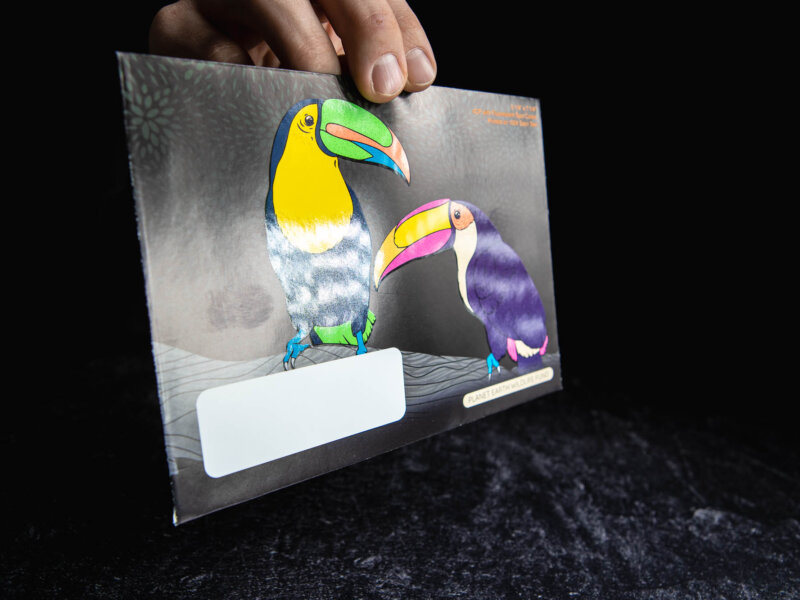 Two colorful toucans on a black envelope