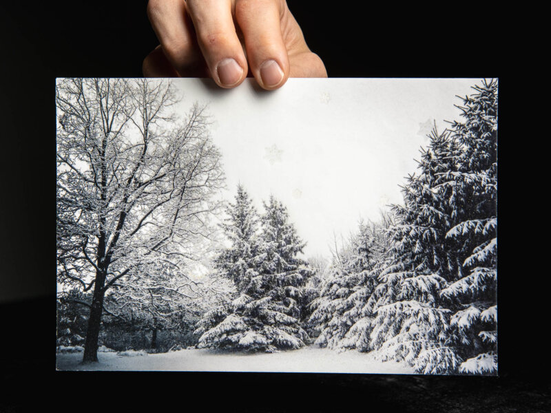 Up close detail of golden sprinkles on an envelope with a picture of snowy trees as the background