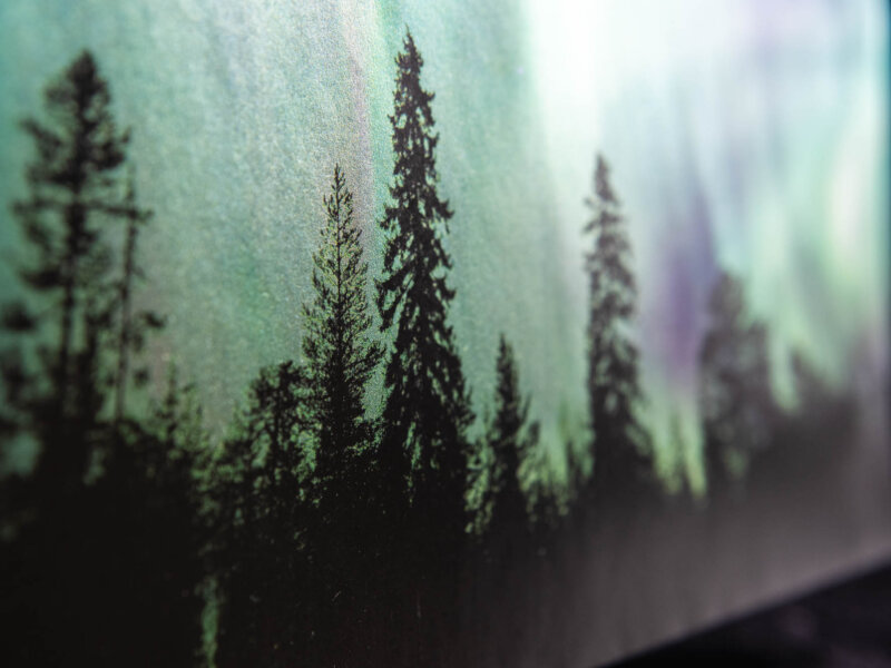 Envelope detail of northern lights texture and trees