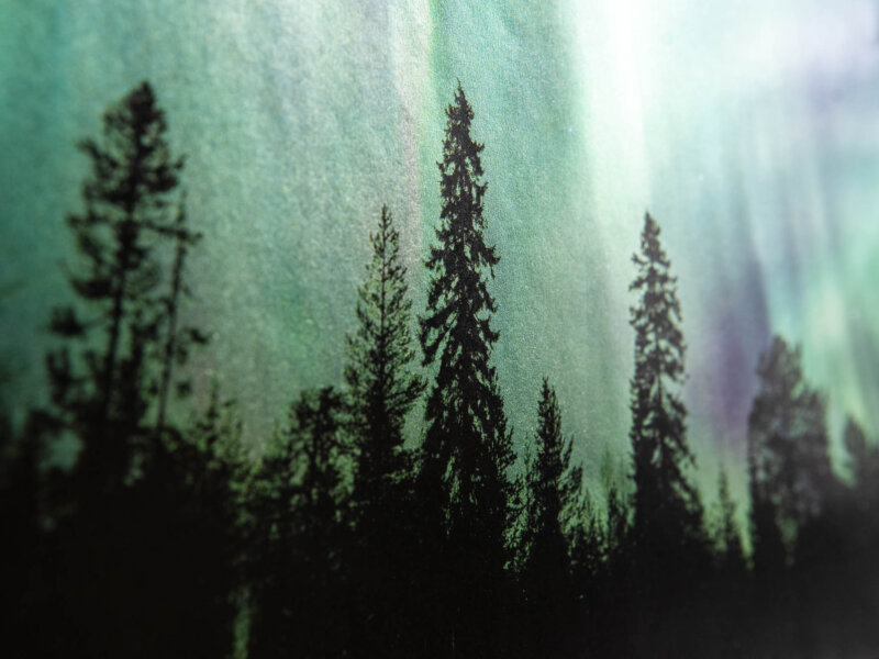Envelope detail of northern lights texture and trees